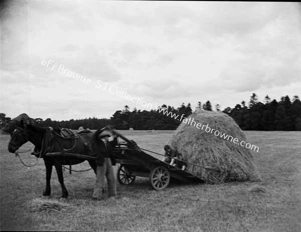 HAYMAKING NEAR CROMLECH